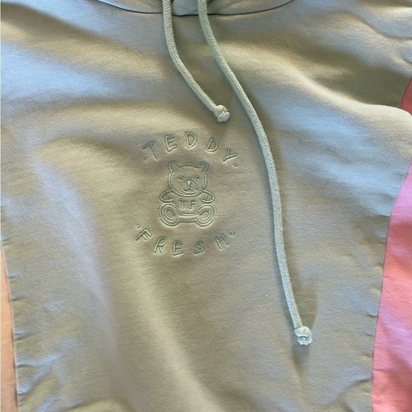 Teddy Fresh X- Large Color Block 100% Cotton Hoodie - Picture 5 of 9